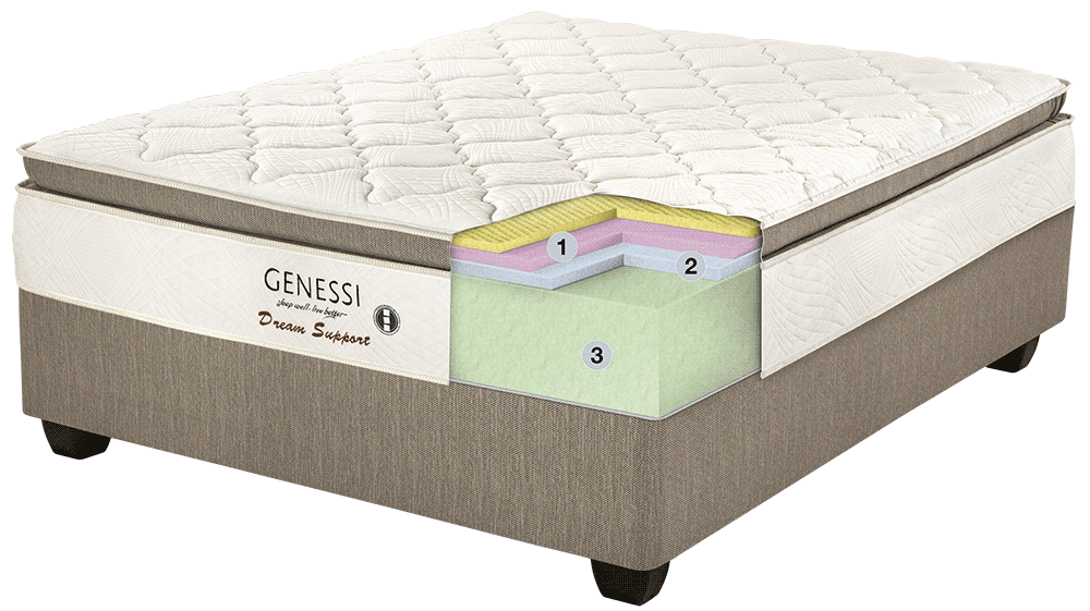 Genessi Dream Support Cross Section