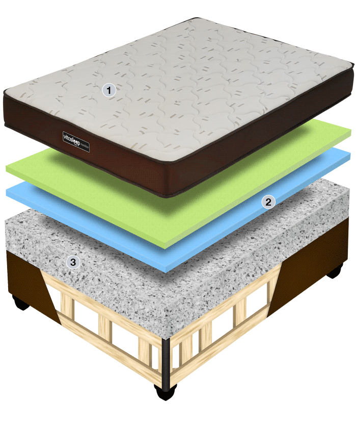Vitasleep Hamilton Cross Section