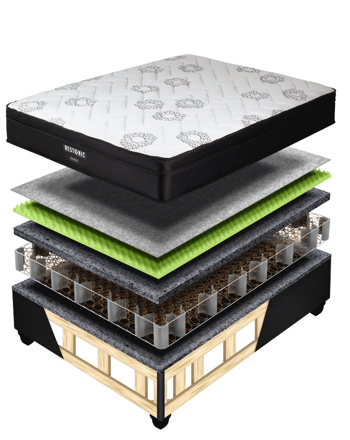 Restonic Regency cross section
